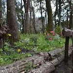 Intry Etna Dağ evi