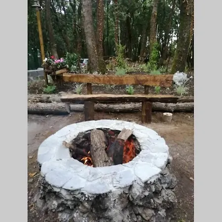 Intry Etna * 佩达拉