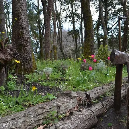Intry Etna شاليه