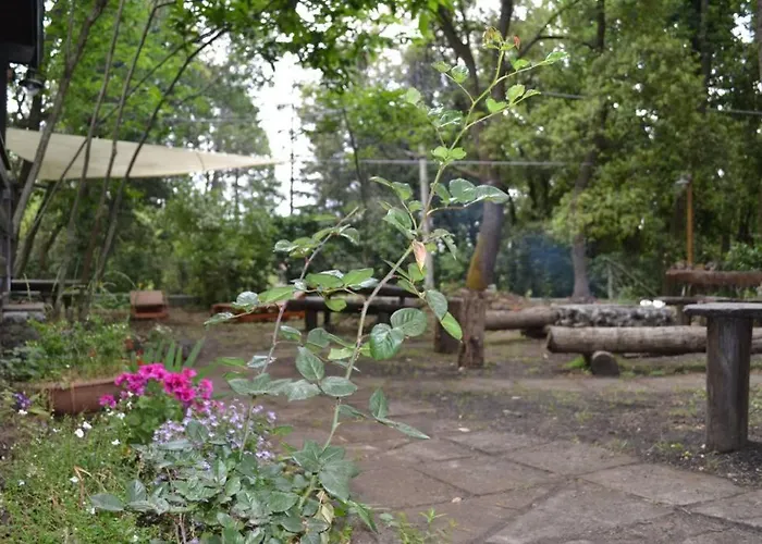 Intry Etna * 佩达拉