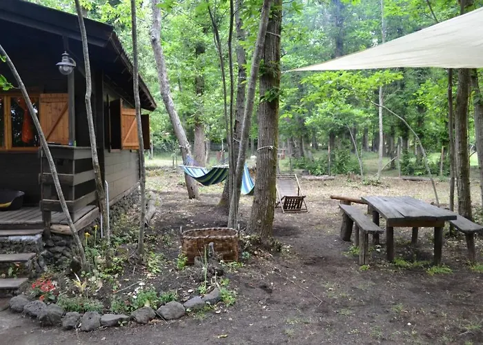 Intry Etna * 佩达拉