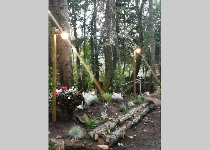 木屋 Intry Etna 佩达拉