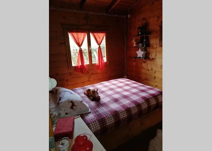 Intry Etna 木屋 佩达拉