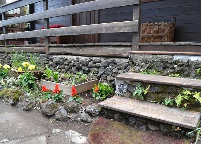 Intry Etna 佩达拉