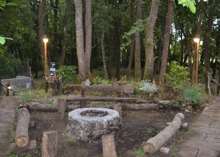 Intry Etna 佩达拉