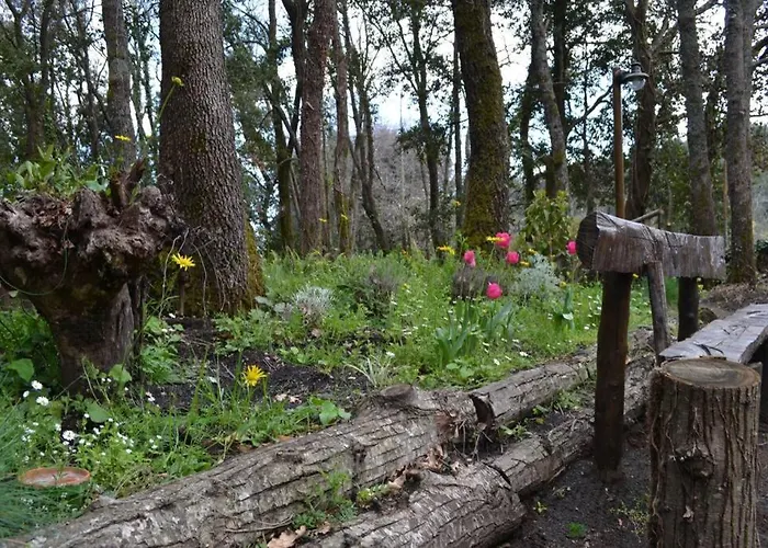 Intry Etna Alpehytte
